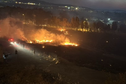 İzmir'de otluk alan yangını kontrol altına alındı!