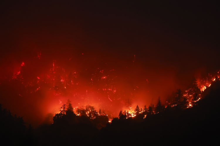 California eyaleti yanıyor! 3 bin 499 noktada yangınlar devam ediyor - Bursa Hayat Gazetesi-2