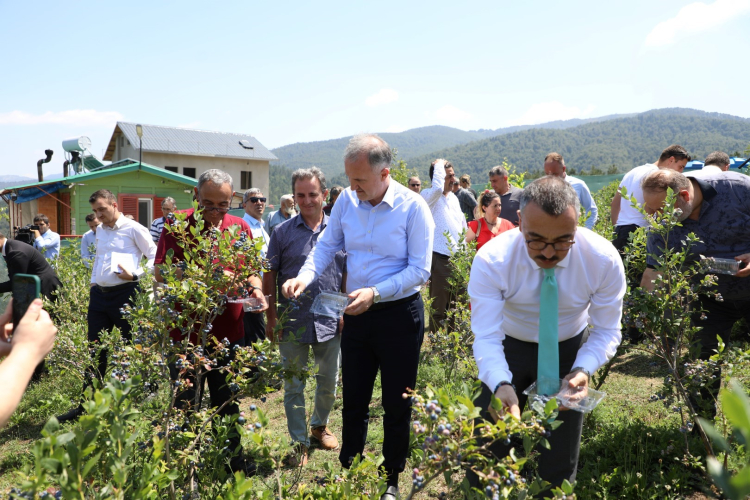 Bursa'da 10 yıl önce keşfedildi! İnegöl'ün gözde tarım ürünü oldu - Bursa Hayat Gazetesi-3