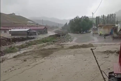 Erzurum'un o ilçesi sele teslim! Hayvanlar telef oldu