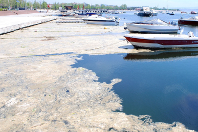 Marmara Denizi’nde en büyük tehlike kirlilik