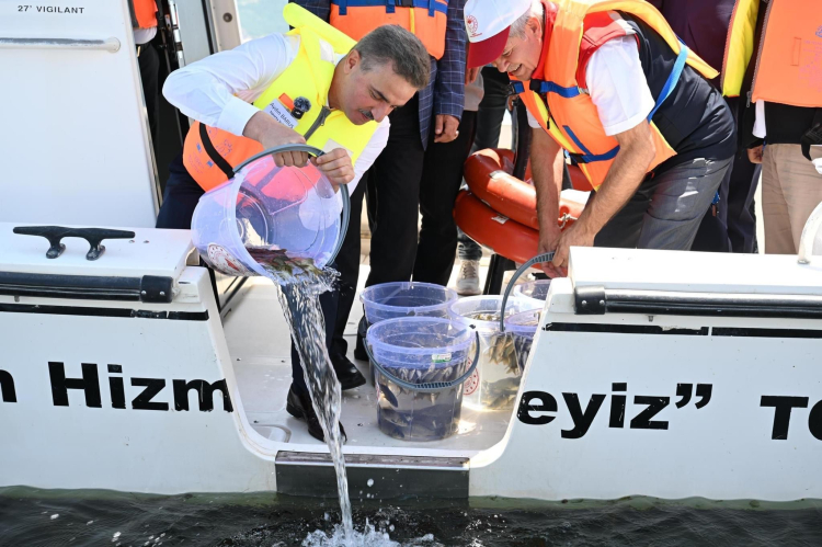 Eğirdir Gölü'ne binlerce yavru sazan balığı bırakıldı!-Bursa Hayat Gazetesi-2