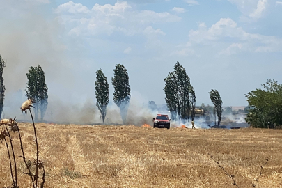 Edirne'de 500 dönüm arazi küle döndü!