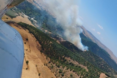 Balıkesir'de orman yangını! Söndürme çalışmaları sürüyor