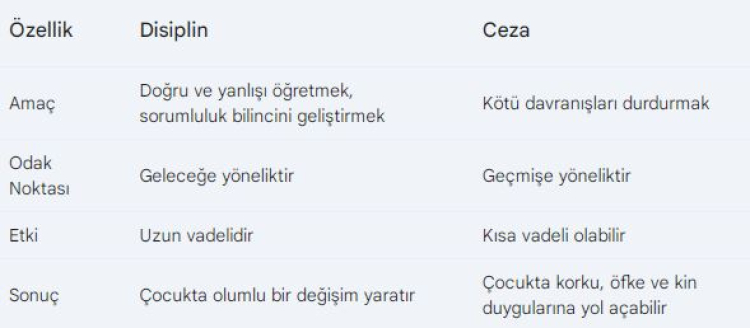 Disiplin ve seza: Çocuklara Sınır koymanın doğru yolu -Bursa Hayat Gazetesi-2