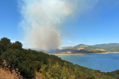 Çanakkale'de tarım arazisindeki yangın ormana sıçradı