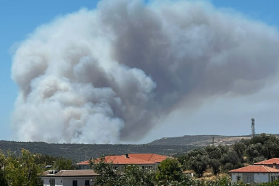 İzmir'in Çeşme ilçesinde orman yangını çıktı: 3 ölü