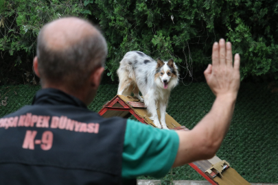 Bursa'da işitme engelli köpeği sahibi işaret komutlarıyla eğitti