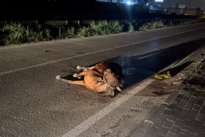 Bursa'da aracıyla başıboş ata çarpan sürücü kaçtı!