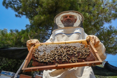 Oğlunun ölümü sonrası arıcılık mesleğiyle hayata bağlandı