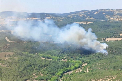 Balıkesir'de orman yangını!