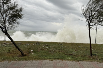 Belarus'ta etkili olan fırtınada 6 kişi öldü