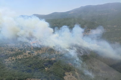 Bursa'da orman yangını! Kontrol altına alındı mı?