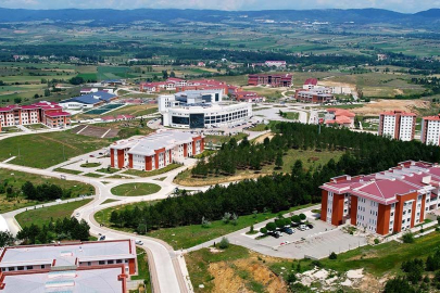 Kastamonu Üniversitesi'nden köpek tedavisi açıklaması!