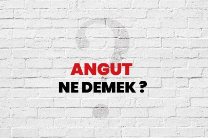 Angut nedir? Bir insana neden angut denir?