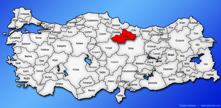 Tokat haritası | Tokat haritada nerede ve hangi bölgede? - Bursa Hayat Gazetesi-3