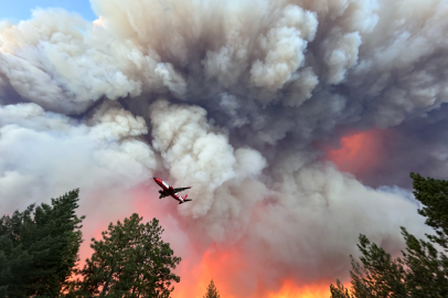 Kaliforniya'da orman yangını felaketi