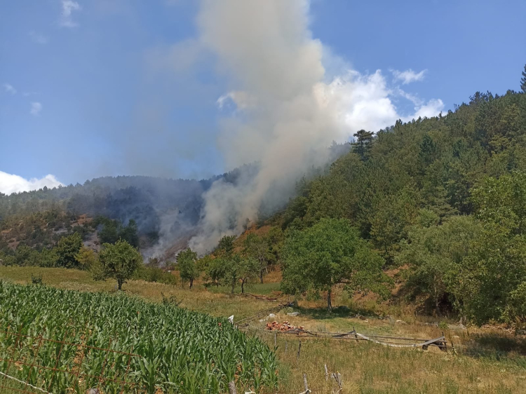 Bursa'da korkutan orman yangını: Kontrol altına alındı!-Bursa Hayat Gazetesi-2