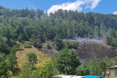Bursa'da korkutan orman yangını: Kontrol altına alındı!