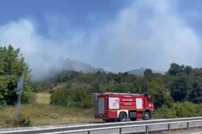 Sakarya'da 10 hektarlık alan yangında zarar gördü!