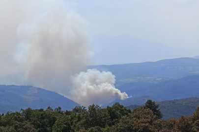 Bursa’da ekipleri harekete geçiren orman yangını