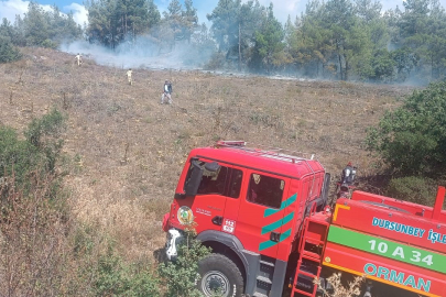 Bursa Büyükorhan'da yangın!