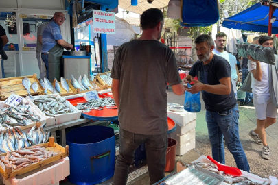 Bursa'da balık tezgahları renklendi!