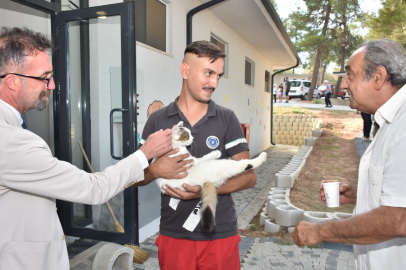 Bursa'da sokak hayvanları için yeni bir dönem başlıyor