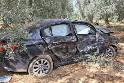 Bursa'da zeytinliğe savrulan otomobil kullanılamaz hale geldi