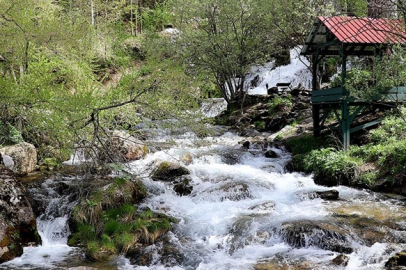 Akarsular: Dünyamızın yaşam damarları