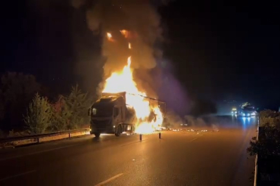 Bursa'da kargo taşıyan tır yangında küle döndü