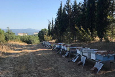 Bursa'daki yangında zarar gören arı kovanları yenilendi!