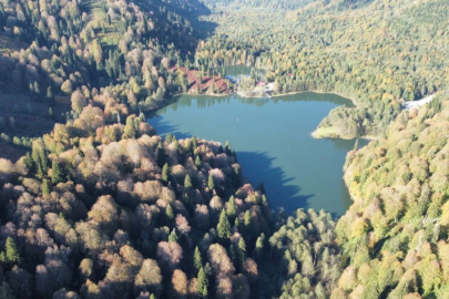 Artvin Borçka’nın gizli cenneti: Karagöl Tabiat Parkı’nda sonbahar renkleri