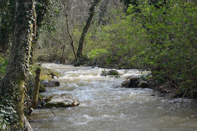 Gündem Bursa Nilüfer Çayı’ndaki kirlilik!