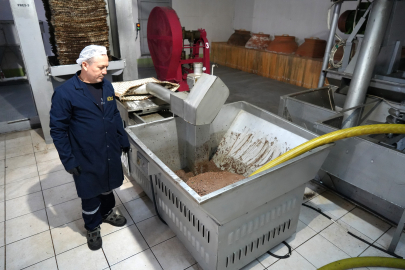 100 yıllık zeytinyağı geleneği Ayvalık’ta yeniden hayat buldu