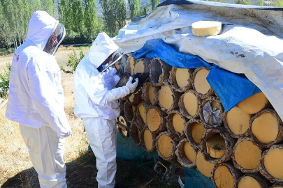 Bitlis’in karakovan balı yurt dışına ihraç ediliyor