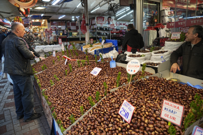 Bursa’da Çin kestanesinin yerini yerli kestane aldı