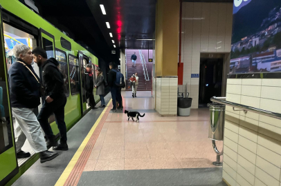 Bursa'da metro istasyonunda davetsiz misafir