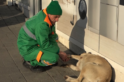 Bursa’da temizlik işçisinin sokak köpeğiyle dostluğu gündem oldu