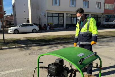 Harmancık'ta haşere ve kemirgenlerle mücadele başladı