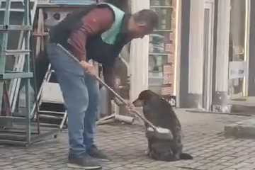 Bursa’da esnafın sokak köpeğine gösterdiği merhamet gündem oldu!