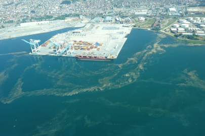 Marmara Denizi'nde müsilaj sorunu! Yeniden gündemde